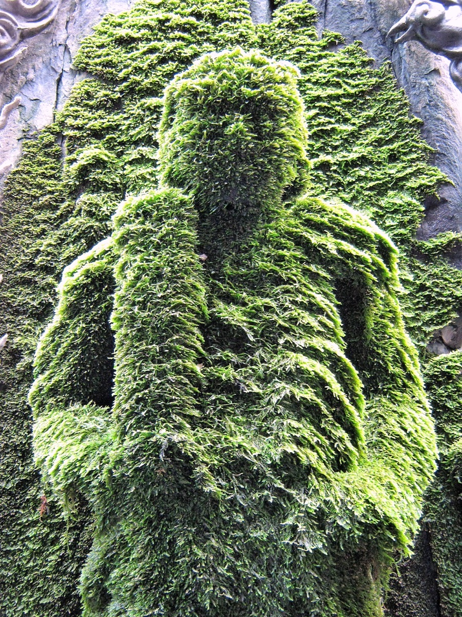 Moss-covered Fudo-myoo statue at Hozenji Temple